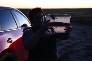 Jackie Billot, 36, a graduate student at Colorado State University, watches as two females are captured studying tarantula burrows, whose intricate shapes may help explain how the spiders survive Colorado's harsh winters. (The Denver Post via Helen H. Richardson/Getty Images)