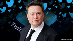Twitter owner Elon Musk asked freelance journalists Matt Taibbi and Barry Weiss to cover the so-called "Twitter Files." Getty Images