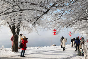 Tourists admire the grassy trees along the Songhua River in Jilin, China, on January 4, 2023. /Credit VCG via Jang Yan/China News Service/Getty