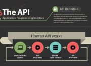 APIs and the Data Privacy Debate