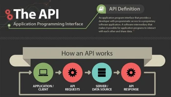 APIs and the Data Privacy Debate