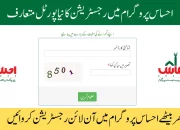 8171 Ehsaas Program Online Registration