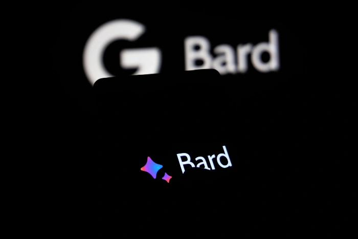 Google Bard glossary