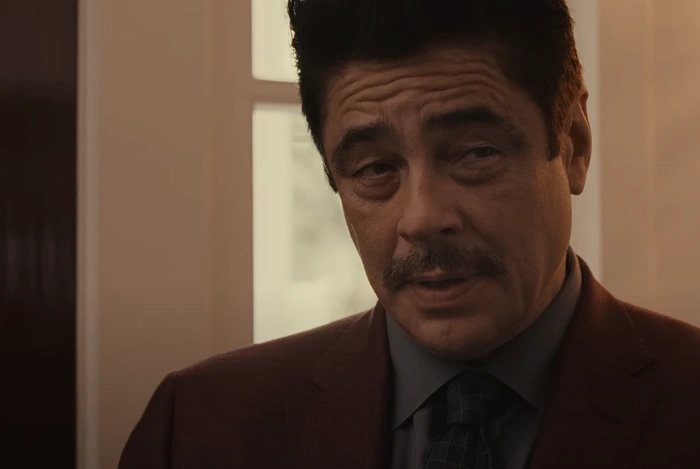 Reptile film Netflix starring Benicio Del Toro