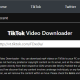 Introducing TK2DL: A Platform to Download TikTok Videos Without Watermark