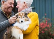 Is a Therapy Dog Right for You? A Guide to Making the Decision