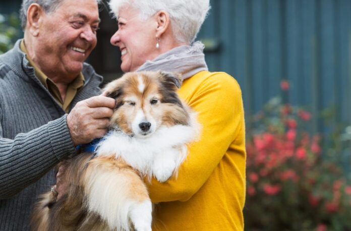 Is a Therapy Dog Right for You? A Guide to Making the Decision