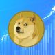 Exploring the Value of Doge (DOGE) Cryptocurrency: A Comprehensive Overview