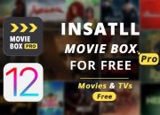 Ultimate Gateway to Cinematic Adventures with Moviebox Pro