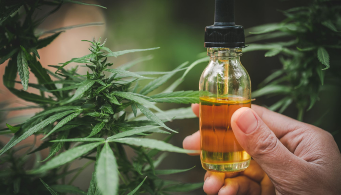 Cbd Capsules Vs. Tinctures: What’s The Difference?
