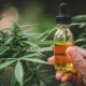 Cbd Capsules Vs. Tinctures: What’s The Difference?