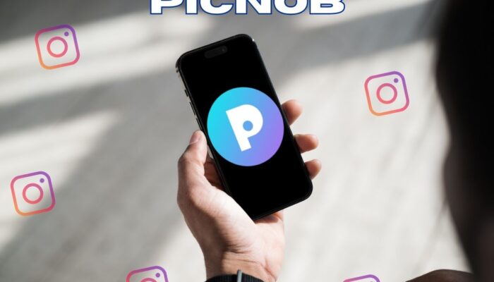 Picnob: Your Ultimate Instagram Viewer