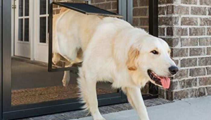 Tips for Installing a Dog Door Into a Screened Porch or Patio