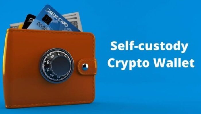 What are the Benefits of Self-Custody in Crypto?