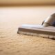 The Importance of Professional Carpet Cleaning in Toronto’s Climate