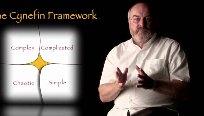 What Is the Cynefin Framework and Why Should You Care?