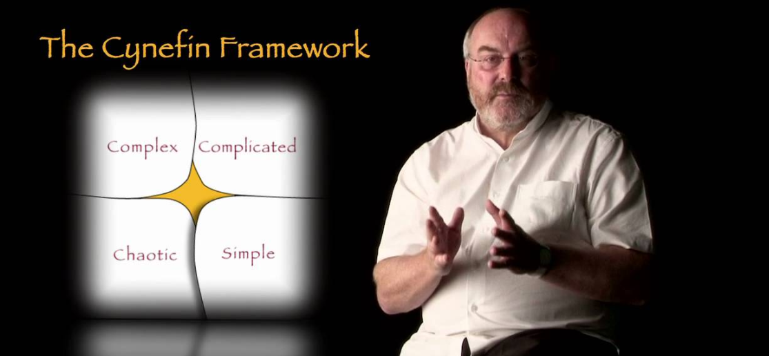 What Is the Cynefin Framework and Why Should You Care?