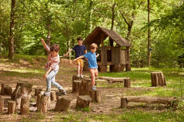 https://media.istockphoto.com/id/800406824/photo/friends-playing-on-tree-stumps-in-forest.jpg?b=1&s=612x612&w=0&k=20&c=7SfCyrdXYZcYcuYgmCEAENHTFkgUyaFoymHPP_Xffu8=