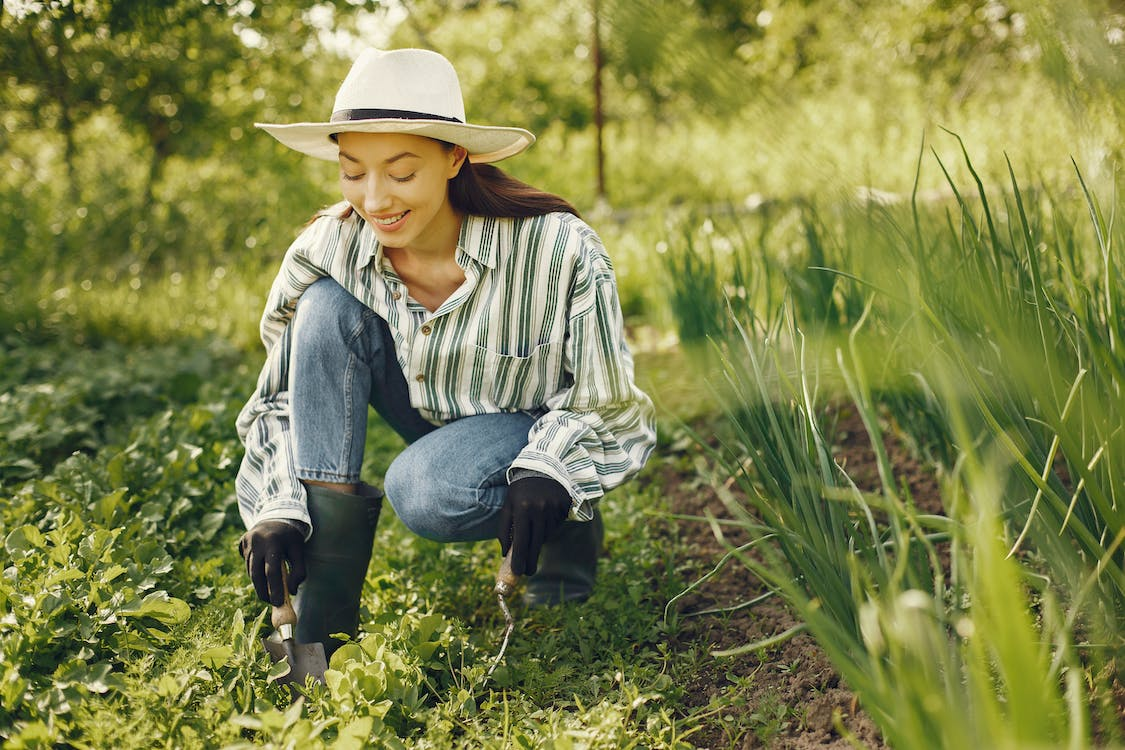 5 Underrated Types of Trees for Your Backyard