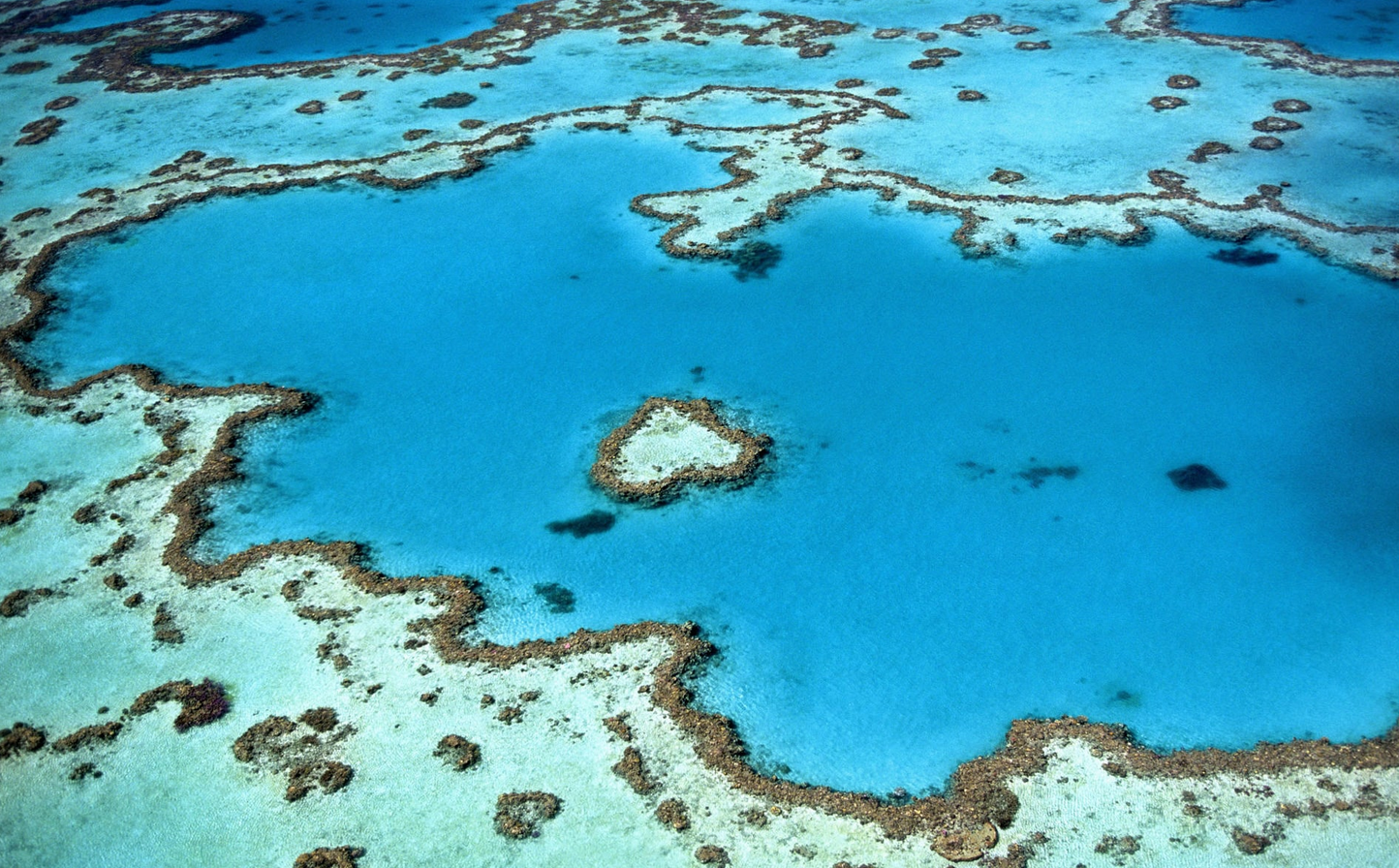 Exploring the Depths of Down Under