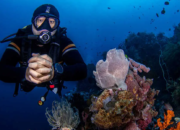 Exploring the Underwater Beauty of Tulamben through Scuba Diving