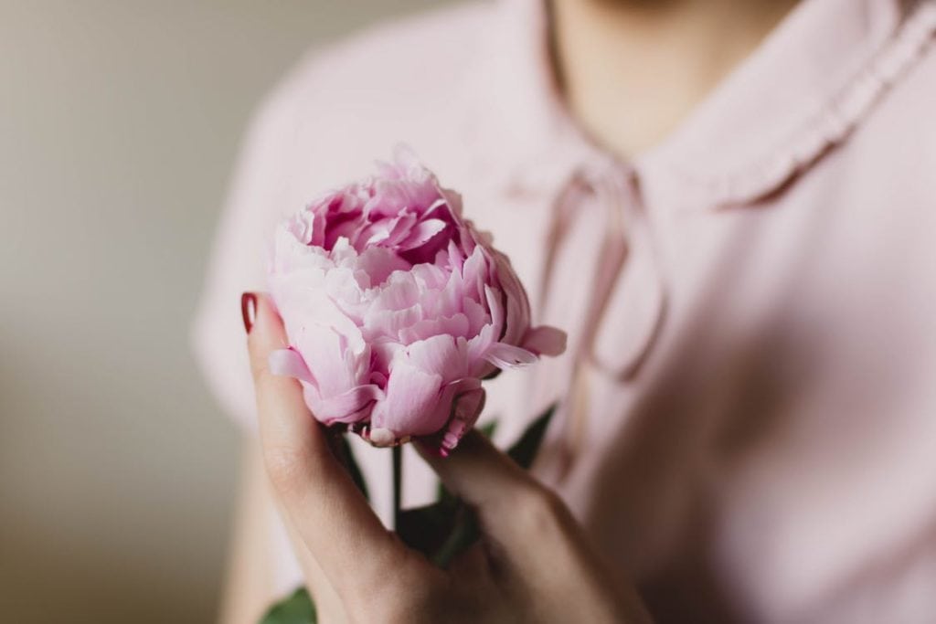 Reasons to Be Careful When Giving Flowers: 5 Rules You Must Follow