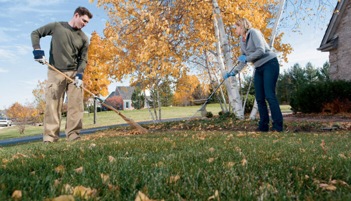 Why Lawn Aeration is Important and How to Do It Right