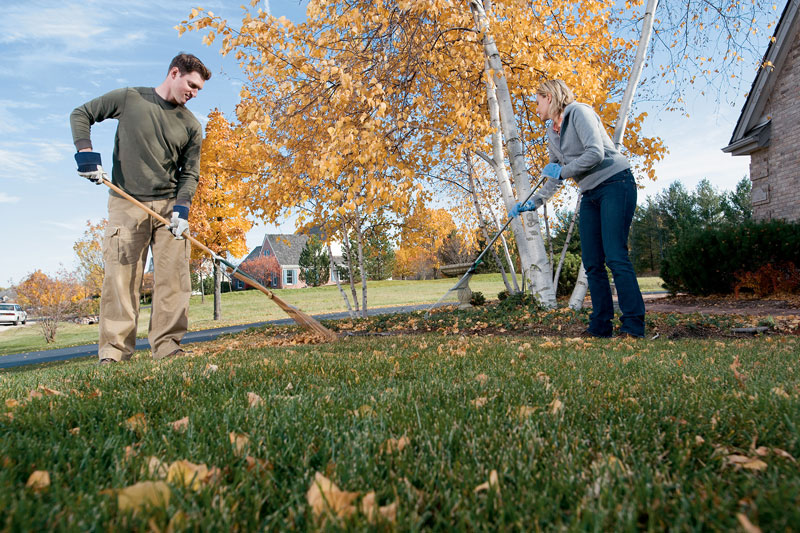 Why Lawn Aeration is Important and How to Do It Right